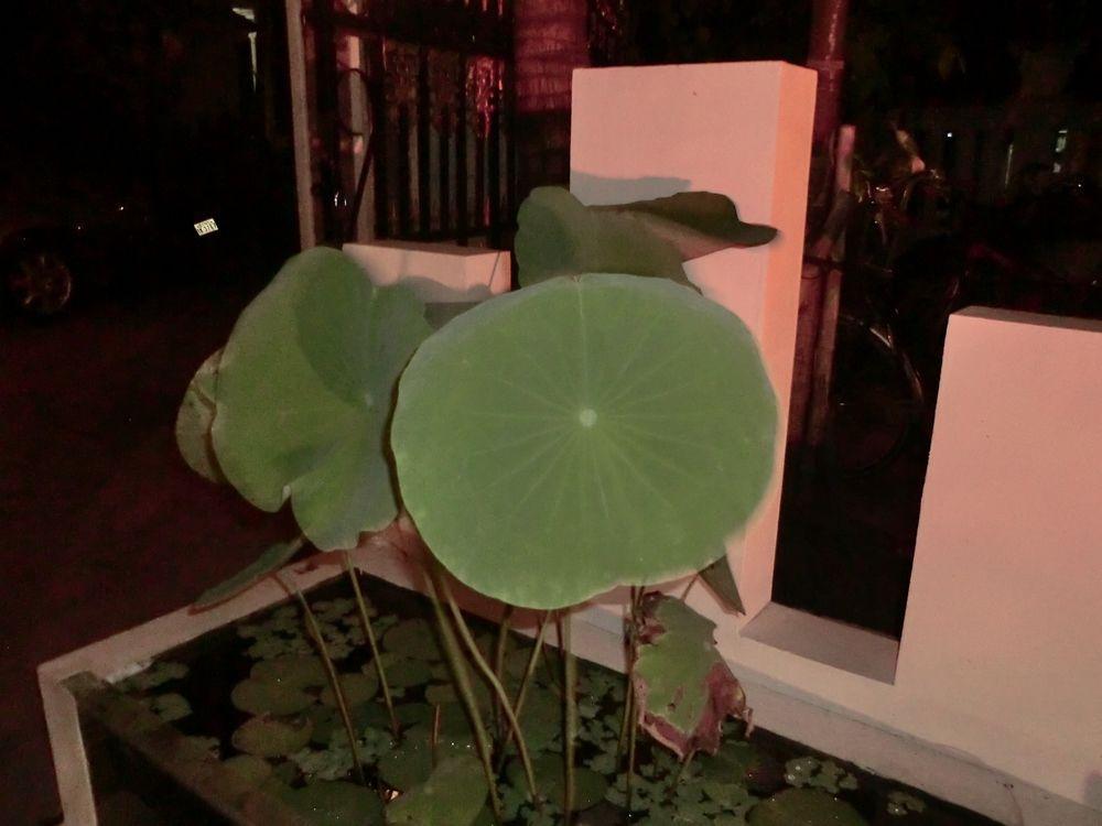 Eocambo Villa Siem Reap Luaran gambar